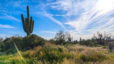 STUNNING SUPERSTITION MOUNTAIN VIEWS FROM THIS PREMIUM 5 ACRE on Superstition Mountain Club - Lost Gold in Arizona - for sale on GolfHomes.com, golf home, golf lot