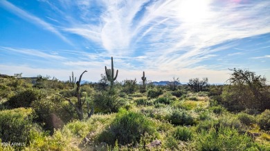 STUNNING SUPERSTITION MOUNTAIN VIEWS FROM THIS PREMIUM 5 ACRE on Superstition Mountain Club - Lost Gold in Arizona - for sale on GolfHomes.com, golf home, golf lot