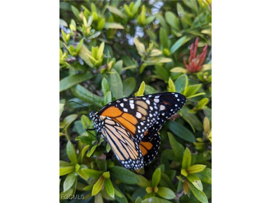 Gorgeous coastal 2 bedroom 2 bathroom attached villa in on Lexington Country Club in Florida - for sale on GolfHomes.com, golf home, golf lot