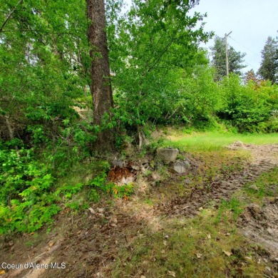 Come see the beautiful canvas that could be your panoramic on Coeur D Alene Resort Golf Course in Idaho - for sale on GolfHomes.com, golf home, golf lot