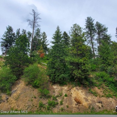 Come see the beautiful canvas that could be your panoramic on Coeur D Alene Resort Golf Course in Idaho - for sale on GolfHomes.com, golf home, golf lot