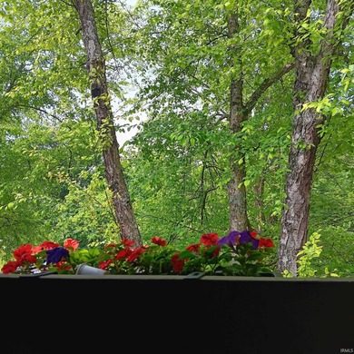 Experience the feeling of living in a treehouse in this bright on The Eagle Pointe Golf Resort in Indiana - for sale on GolfHomes.com, golf home, golf lot