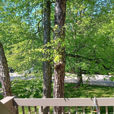 Experience the feeling of living in a treehouse in this bright on The Eagle Pointe Golf Resort in Indiana - for sale on GolfHomes.com, golf home, golf lot