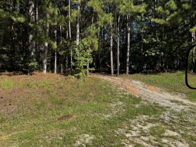 Prime Homesite for Nature Lovers in Savannah Lakes Village!

 on Monticello Golf Club At Savannah Lakes in South Carolina - for sale on GolfHomes.com, golf home, golf lot