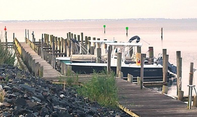 Looking for breathtaking views of the Chincoteague Bay, a front on Captains Cove Golf and Yacht Club in Virginia - for sale on GolfHomes.com, golf home, golf lot