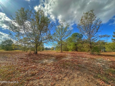 Welcome to River Landing, a breathtaking community located in on River Landing Golf Course in North Carolina - for sale on GolfHomes.com, golf home, golf lot