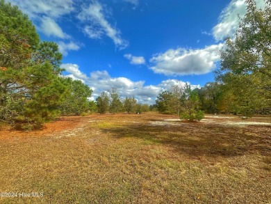 Welcome to River Landing, a breathtaking community located in on River Landing Golf Course in North Carolina - for sale on GolfHomes.com, golf home, golf lot