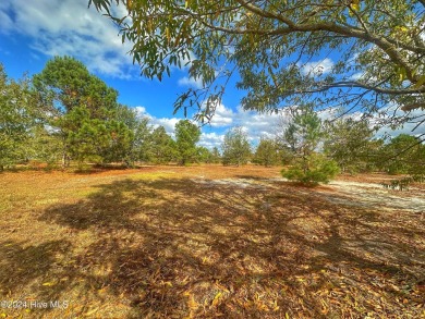 Welcome to River Landing, a breathtaking community located in on River Landing Golf Course in North Carolina - for sale on GolfHomes.com, golf home, golf lot