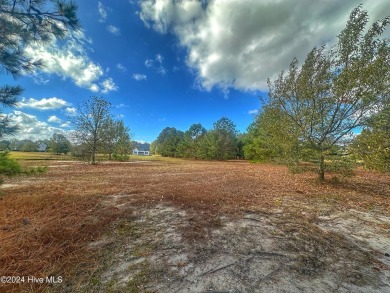 Welcome to River Landing, a breathtaking community located in on River Landing Golf Course in North Carolina - for sale on GolfHomes.com, golf home, golf lot