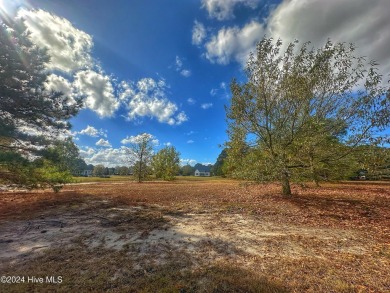 Welcome to River Landing, a breathtaking community located in on River Landing Golf Course in North Carolina - for sale on GolfHomes.com, golf home, golf lot