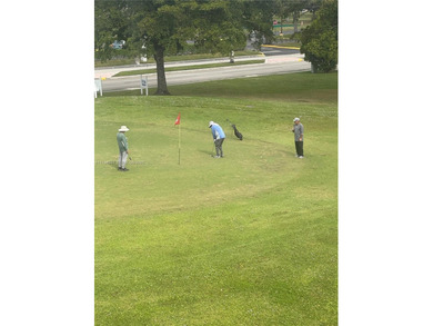 Enjoy watching the golfers on the 3rd hole or participate in the on Sunrise Lakes Phase IV Golf Course in Florida - for sale on GolfHomes.com, golf home, golf lot