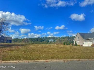 Welcome to River Landing, a breathtaking community located in on River Landing Golf Course in North Carolina - for sale on GolfHomes.com, golf home, golf lot