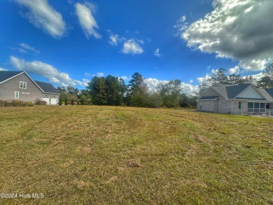 Welcome to River Landing, a breathtaking community located in on River Landing Golf Course in North Carolina - for sale on GolfHomes.com, golf home, golf lot