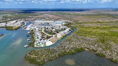 Under contract-accepting backup offers. Waterfront lot in the on Coral Creek Club in Florida - for sale on GolfHomes.com, golf home, golf lot