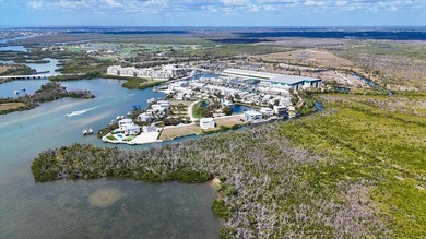 Under contract-accepting backup offers. Waterfront lot in the on Coral Creek Club in Florida - for sale on GolfHomes.com, golf home, golf lot