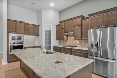 Why wait to build when this home offers so many upgrades and a on Skyview At Terra Vista Golf and Country Club in Florida - for sale on GolfHomes.com, golf home, golf lot