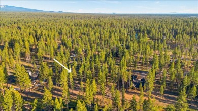 Build your dream home in Central Oregon's premier residential on Sunriver Caldera Springs Golf Course in Oregon - for sale on GolfHomes.com, golf home, golf lot