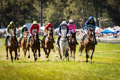 The Ridgemont 15 E.L. is our Easy Living one floor plan on The Golf Club At Cedar Creek in South Carolina - for sale on GolfHomes.com, golf home, golf lot