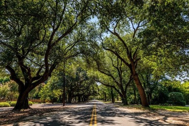 The Ridgemont 15 E.L. is our Easy Living one floor plan on The Golf Club At Cedar Creek in South Carolina - for sale on GolfHomes.com, golf home, golf lot