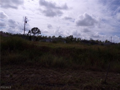 Discover the perfect place to build your dream home on this on Del Tura Golf and Country Club in Florida - for sale on GolfHomes.com, golf home, golf lot