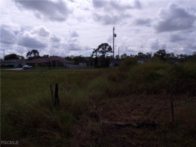 Discover the perfect place to build your dream home on this on Del Tura Golf and Country Club in Florida - for sale on GolfHomes.com, golf home, golf lot