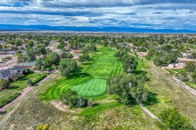 Welcome home to your recently updated and well maintained Pueblo on Desert Hawk At Pueblo West in Colorado - for sale on GolfHomes.com, golf home, golf lot
