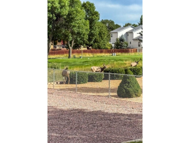 Welcome home to your recently updated and well maintained Pueblo on Desert Hawk At Pueblo West in Colorado - for sale on GolfHomes.com, golf home, golf lot