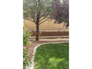 Welcome home to your recently updated and well maintained Pueblo on Desert Hawk At Pueblo West in Colorado - for sale on GolfHomes.com, golf home, golf lot