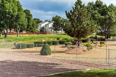 Welcome home to your recently updated and well maintained Pueblo on Desert Hawk At Pueblo West in Colorado - for sale on GolfHomes.com, golf home, golf lot