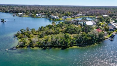 Once-in-a-Lifetime Waterfront Opportunity - 3-Acre Private on Plantation Inn and Golf Resort  in Florida - for sale on GolfHomes.com, golf home, golf lot