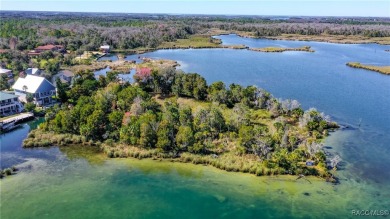 Once-in-a-Lifetime Waterfront Opportunity - 3-Acre Private on Plantation Inn and Golf Resort  in Florida - for sale on GolfHomes.com, golf home, golf lot