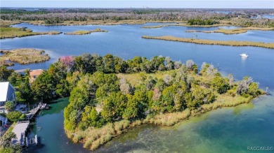 Once-in-a-Lifetime Waterfront Opportunity - 3-Acre Private on Plantation Inn and Golf Resort  in Florida - for sale on GolfHomes.com, golf home, golf lot