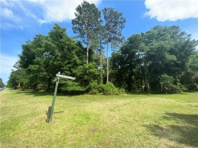 Come see what *Bluff Life* is all about! This homesite is almost on Sapelo Hammock Golf Club in Georgia - for sale on GolfHomes.com, golf home, golf lot