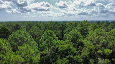 Come see what *Bluff Life* is all about! This homesite is almost on Sapelo Hammock Golf Club in Georgia - for sale on GolfHomes.com, golf home, golf lot