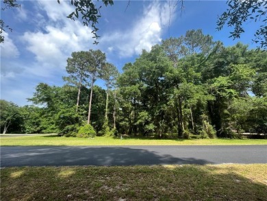 Come see what *Bluff Life* is all about! This homesite is almost on Sapelo Hammock Golf Club in Georgia - for sale on GolfHomes.com, golf home, golf lot