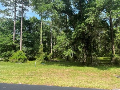 Come see what *Bluff Life* is all about! This homesite is almost on Sapelo Hammock Golf Club in Georgia - for sale on GolfHomes.com, golf home, golf lot