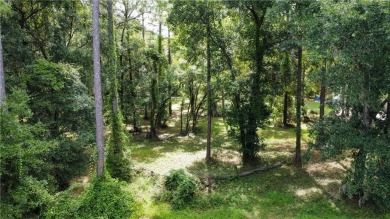 Come see what *Bluff Life* is all about! This homesite is almost on Sapelo Hammock Golf Club in Georgia - for sale on GolfHomes.com, golf home, golf lot