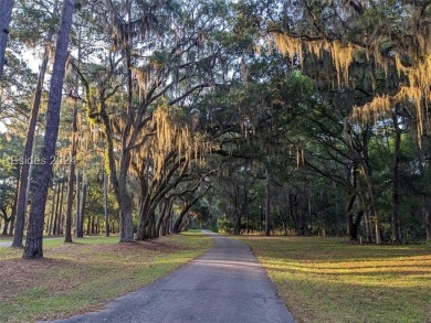 BEAUTIFULLY TREED OCEAN ORIENTED LOT (FOURTH ROW LOT TO BEACH) A on Bloody Point Golf Course and Resort in South Carolina - for sale on GolfHomes.com, golf home, golf lot