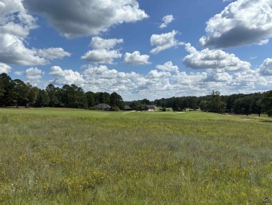 Are You looking for the Perfect Lot on the Golf Course to build on Southern Hills Golf Club in Georgia - for sale on GolfHomes.com, golf home, golf lot