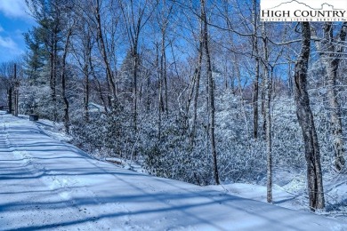 Great location at a great price!. Convenient to the Beech on Beech Mountain Club in North Carolina - for sale on GolfHomes.com, golf home, golf lot