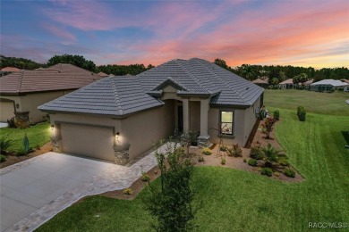 Stunning Custom Pool Home on the 14th Green in Luxurious Terra on Skyview At Terra Vista Golf and Country Club in Florida - for sale on GolfHomes.com, golf home, golf lot