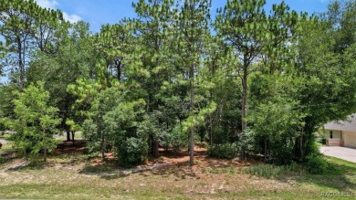 Great location on paved corner lot. This vacant lot is just on Citrus Springs Country Club in Florida - for sale on GolfHomes.com, golf home, golf lot