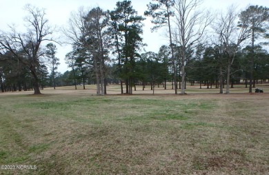 This .48 acre lot is located in the desirable Land O Lakes on Land-O-Lakes Golf Course in North Carolina - for sale on GolfHomes.com, golf home, golf lot