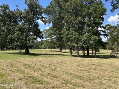 This .48 acre lot is located in the desirable Land O Lakes on Land-O-Lakes Golf Course in North Carolina - for sale on GolfHomes.com, golf home, golf lot