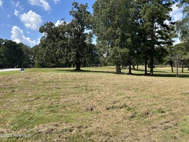 This .48 acre lot is located in the desirable Land O Lakes on Land-O-Lakes Golf Course in North Carolina - for sale on GolfHomes.com, golf home, golf lot