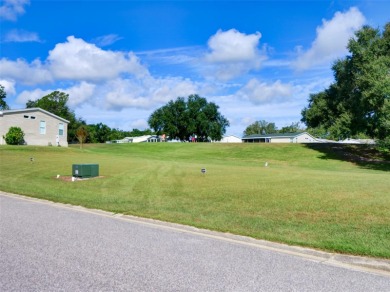 Come and see this turn key ready 3/2 by Palm Harbor home (Vegas on Zellwood Station Country Club in Florida - for sale on GolfHomes.com, golf home, golf lot