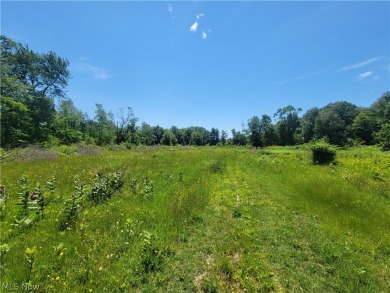 Excellent opportunity to own 2 parcels of land totalling 111 on Pepperidge Tree Golf Course in Ohio - for sale on GolfHomes.com, golf home, golf lot