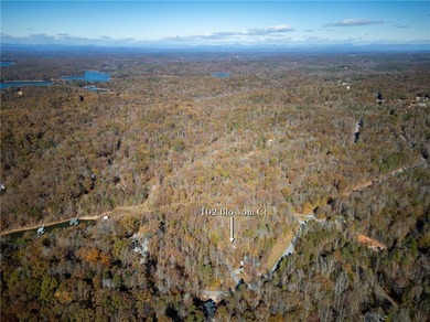 Here is your chance to live in Chickasaw Point with a lower on The Trail At Chickasaw Pointe in South Carolina - for sale on GolfHomes.com, golf home, golf lot