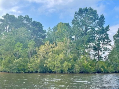 Location...Location...Location! Imagine building your WATERFRONT on Carolina Lakes Country Club in North Carolina - for sale on GolfHomes.com, golf home, golf lot
