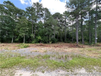 Location...Location...Location! Imagine building your WATERFRONT on Carolina Lakes Country Club in North Carolina - for sale on GolfHomes.com, golf home, golf lot